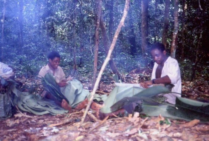 〈「ピグミー」の方々の生活の様子 ※写真提供は西原智昭氏〉