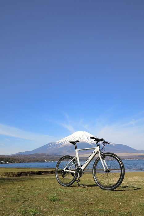 TRANS MOBILLY e-UNITY7016/207_image5