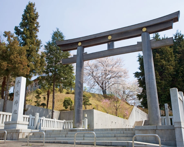 檜造りの高さ約10mの大鳥居