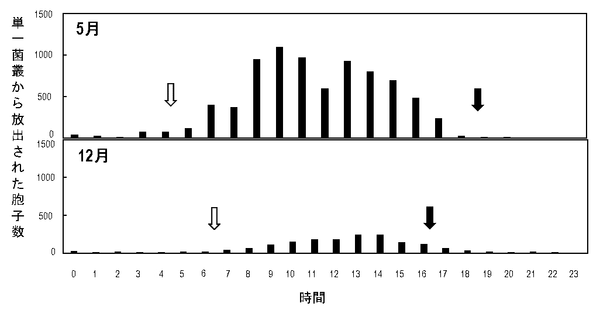図2　静電気胞子回収装置を用いて20日目のイチゴうどんこ病菌の単一菌叢から回収された胞子数の測定