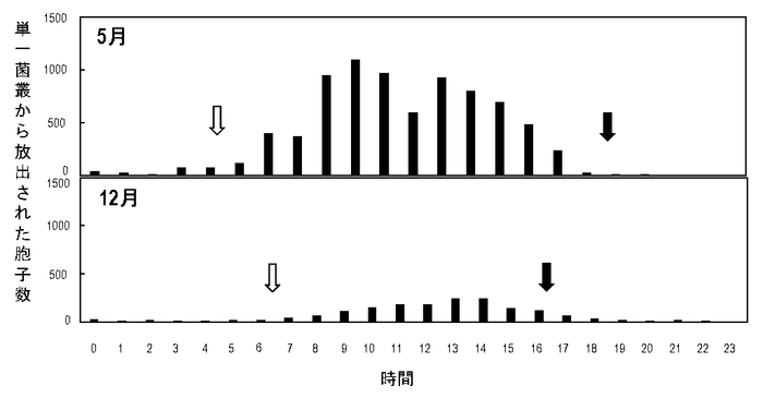 図2 静電気胞子回収装置を用いて20日目のイチゴうどんこ病菌の単一菌叢から回収された胞子数の測定