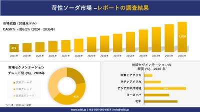 苛性ソーダ市場の発展、傾向、需要、成長分析および予測2024ー2036年