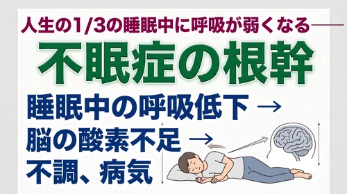 人生の1/3の睡眠中に呼吸が弱くなる──不眠症の根幹。睡眠中の胸郭停止が脳の酸素供給を低下させる　シリーズ第３回