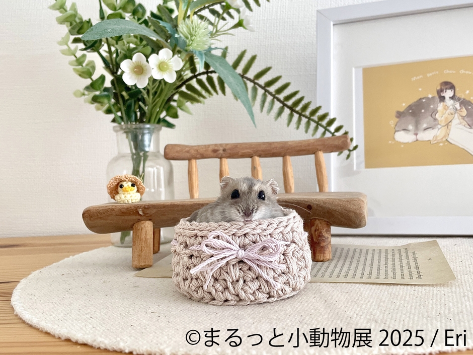 まるっと小動物展 展示作品:Eri