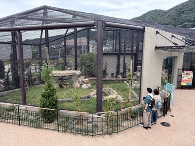 ライオン舎