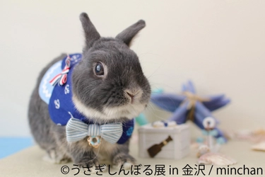 北陸地方初上陸！うさぎ 夏の祭典＆精巧なミニチュアの世界が 楽しめる「うさぎしんぼる展」「ミニチュア写真の世界展」　 金沢フォーラスで開催！夏休みの思い出に♪癒しと驚きを