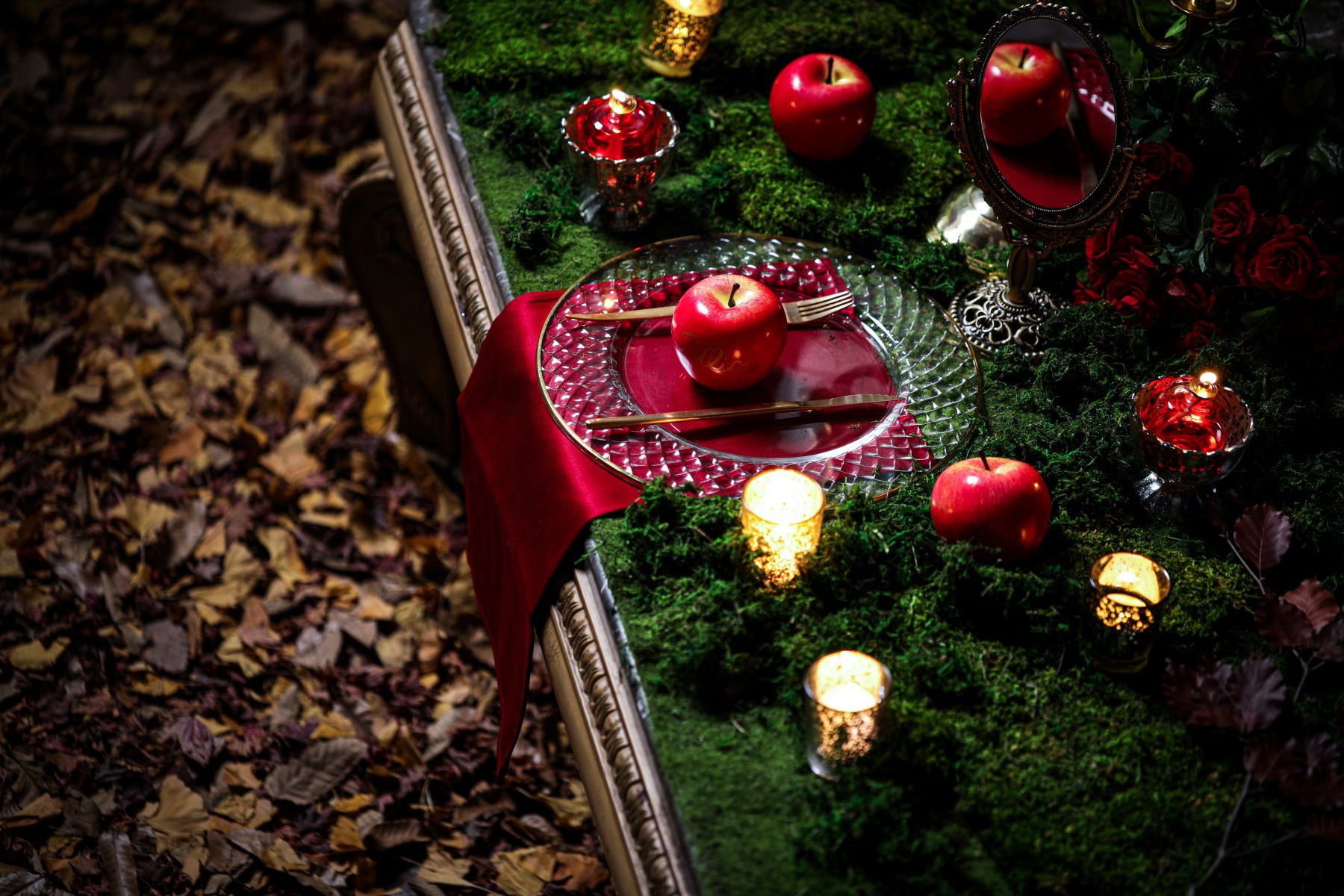 『深紅の林檎に魅せられた白雪姫~Into the Dark Forest~』