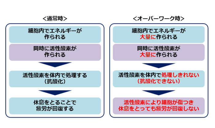 疲労とは