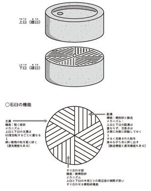 そば粉挽き臼の断面図