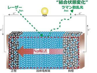 全固体電池に関わる新たな分析方法を開発