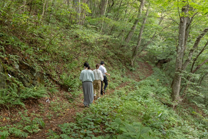 作並温泉旅館組合などが整備を進めた散策路には部分的に階段や手すりもあり、歩きやすく整備されている