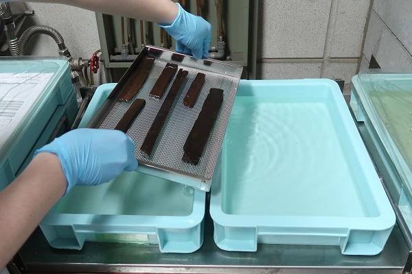 写真1 網カゴにのせた木簡を濃度の異なる薬液へ移す様子