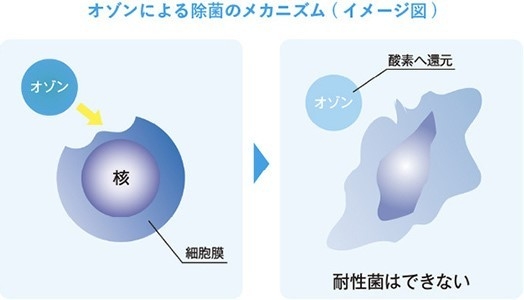 オゾン水は“プロユースの除菌水”