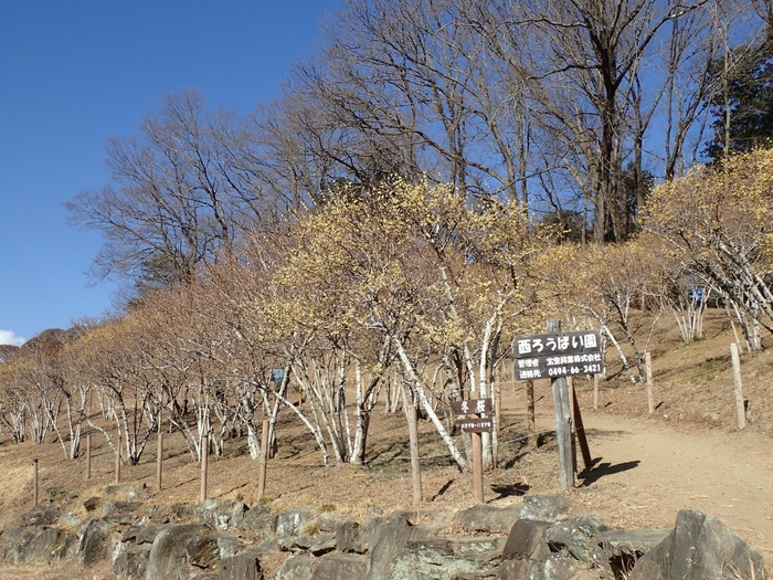 2021年1月18日の様子