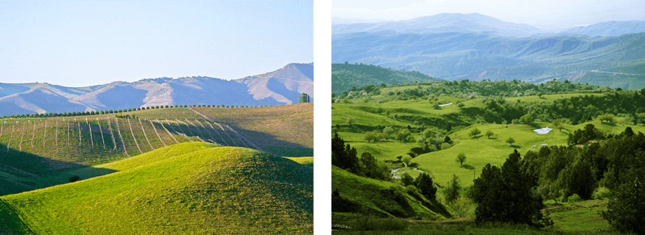 国境付近の大半は緑の山々に囲まれる