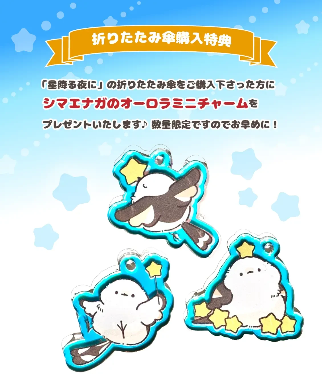 数量限定!購入特典♪
