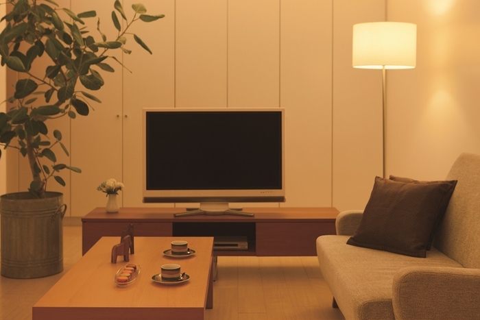 利用イメージ2(テレビ)