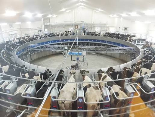 世界並列式搾乳ホール市場分析：規模シェア、ビジネス情報、将来予測2026-2032