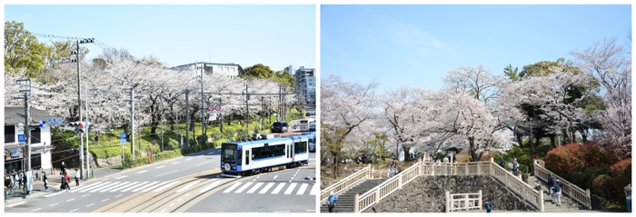 イベントの会場となる飛鳥山公園の写真