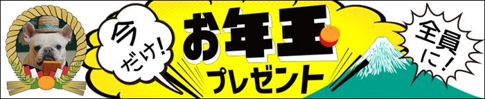 お年玉プレゼント