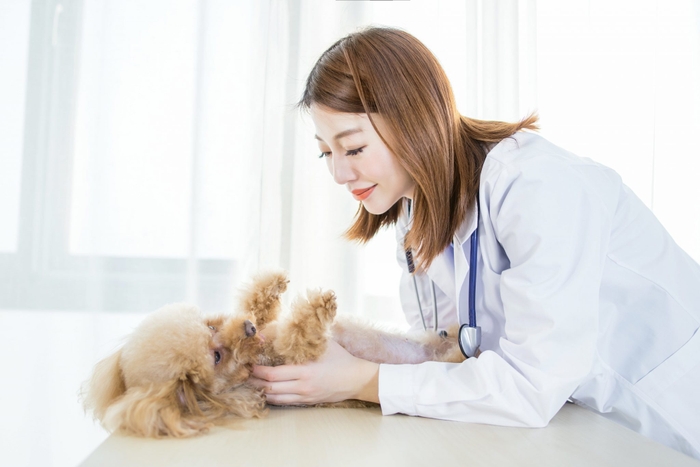 一覧で紹介した病気の中でも特に発症率が高く気を付けておきたい病気について、症状や予防方法と一緒にご紹介いたします。