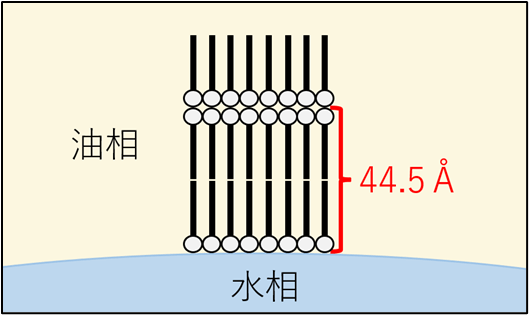 模式図