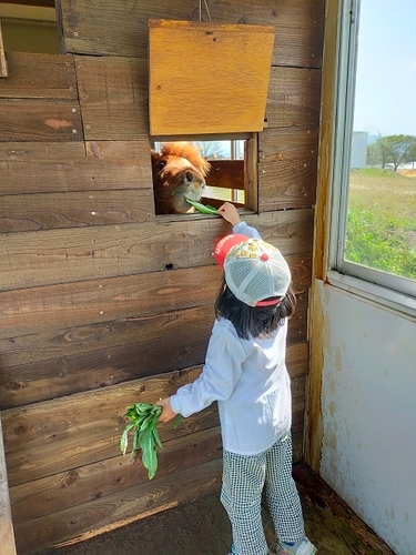 チャコと子ども