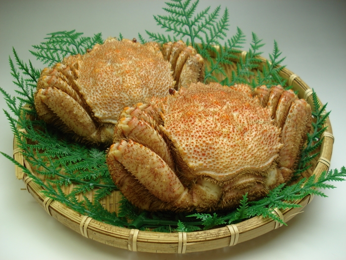 休暇村賞 支笏湖 北海道産毛ガニ(2尾)