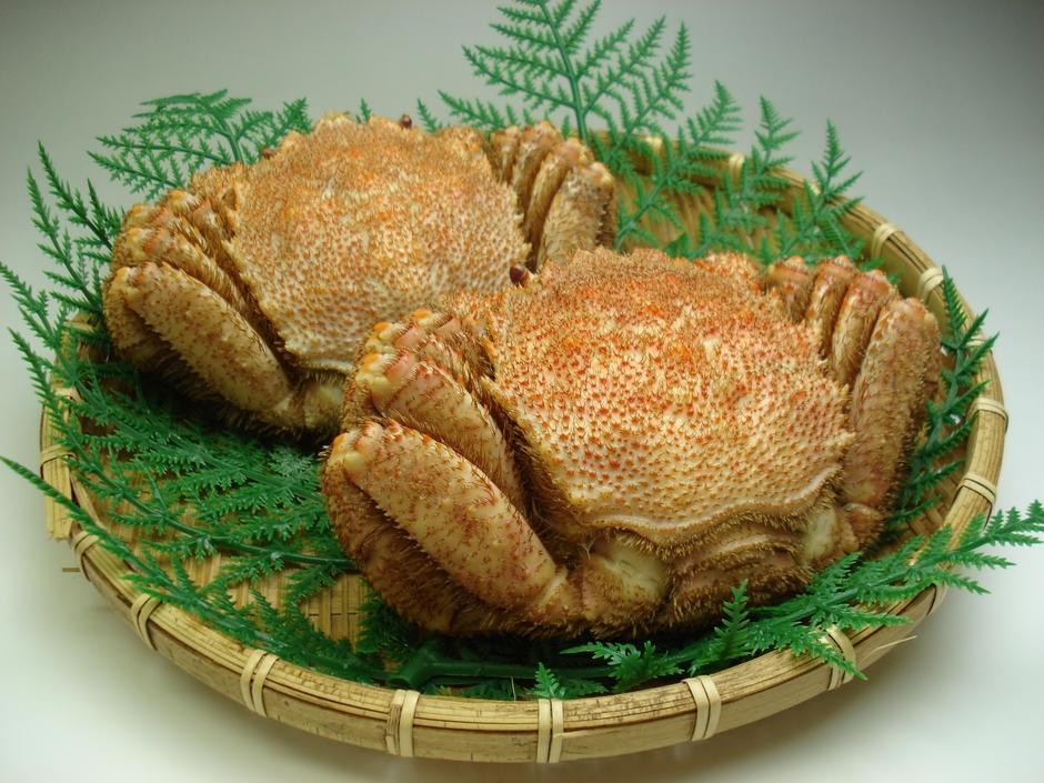 休暇村賞 支笏湖 北海道産毛ガニ(2尾)