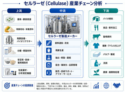 図. セルラーゼの産業チェーン