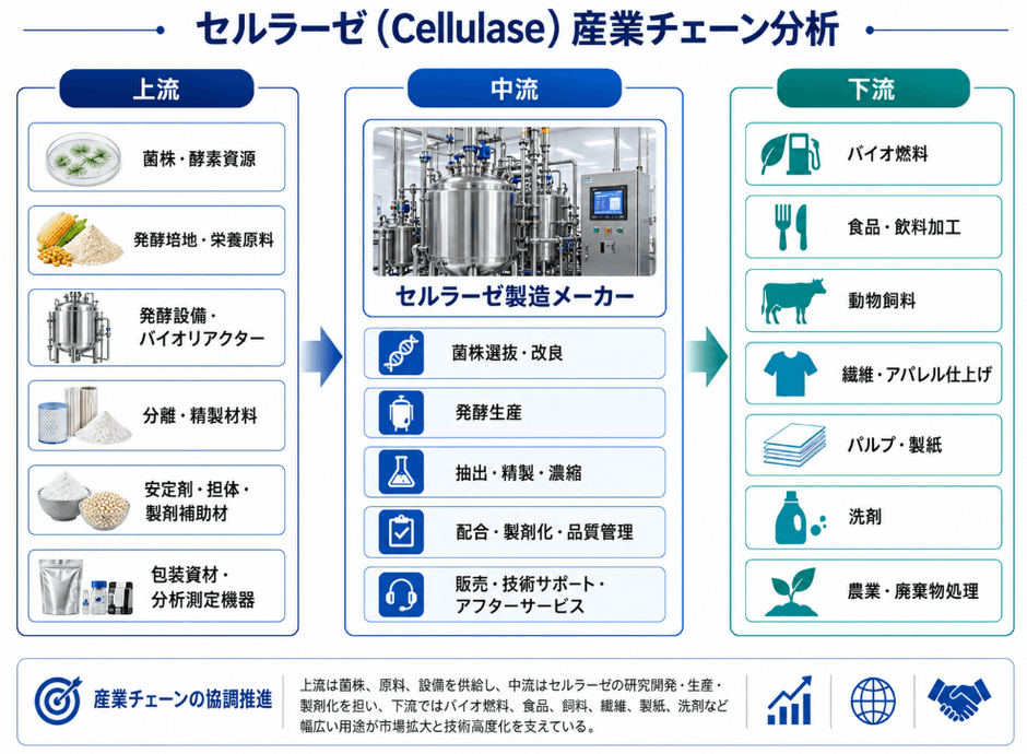 図. セルラーゼの産業チェーン
