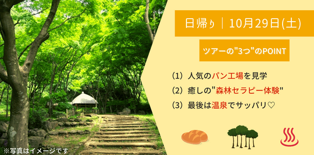 【自然を満喫】森林セラピー体験 in 厚木