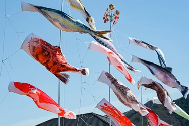 創業79年の鯉のぼりメーカーが空間演出へ 立体ディスプレイ「のぼり水族館」に新たに20種類を追加