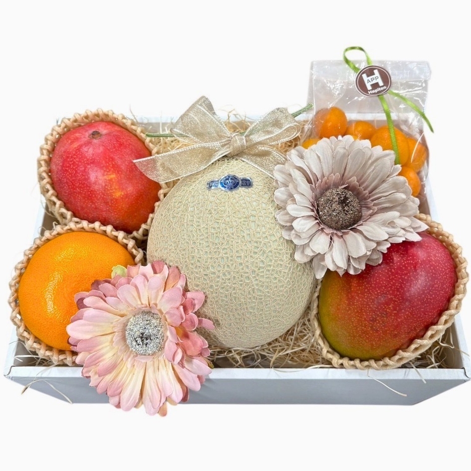 静岡県産マスクメロンと季節の果物が奏でる 旬果のアソート - A - (2)