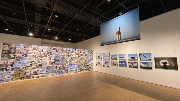 過去の展示風景(宝塚市立文化芸術センター)