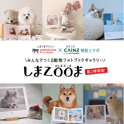 しまズーま 第2弾メインイメージ