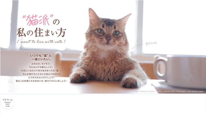「マドリーム」Vol.48:“猫派”の私の住まい方