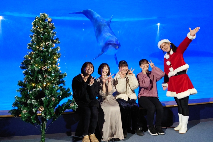 アシカクリスマスフォト&イルカクリスマスフォト 1