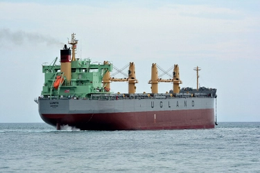 TSUNEISHI HEAVY INDUSTRIES (Cebu), Inc.,an Overseas Group Company of  TSUNEISHI SHIPBUILDING, Completes and Delivers the Group&#8217;s 154th “TESS58” Bulk Carrier