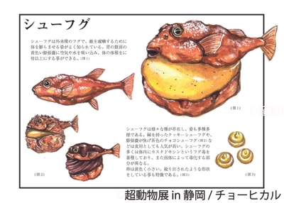 展示作品11