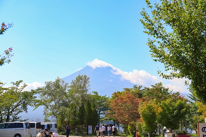 葉が色づき始めている河口湖