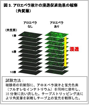 図3