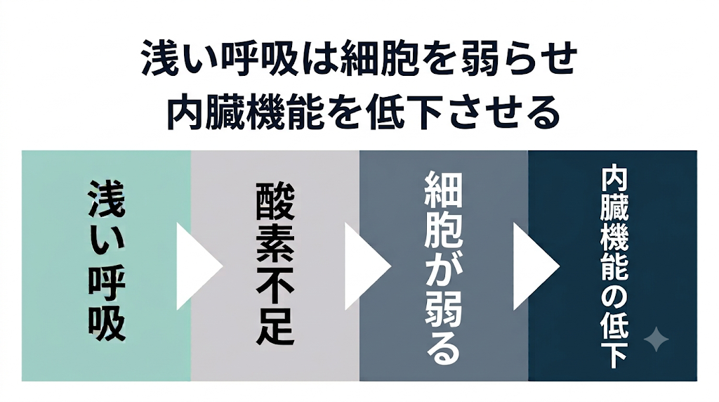 眠りづらさの正体──シリーズ第四回 酸素不足で"細胞が膨張し"、眠りの回復力が止まる構造を解説