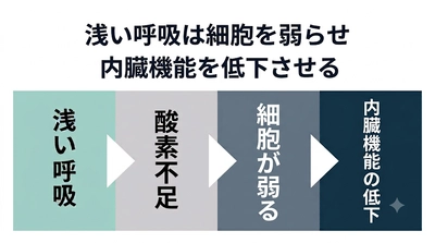 眠りづらさの正体──シリーズ第四回 酸素不足で"細胞が膨張し"、眠りの回復力が止まる構造を解説
