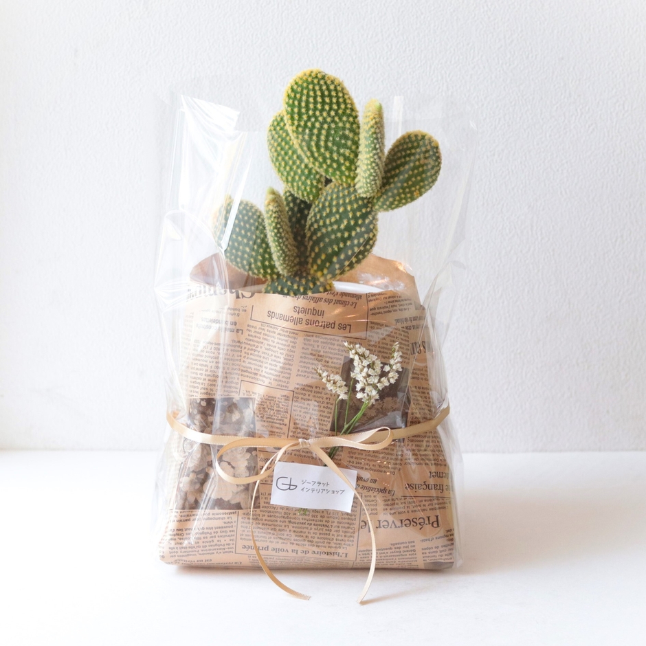 ラッピングも承ります(無料)