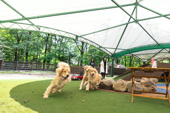 屋根付きドッグラン