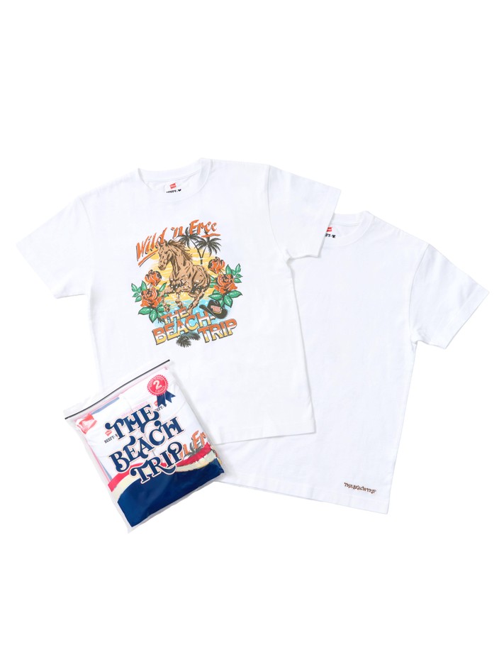 Hanes_HIRAIDAI_1