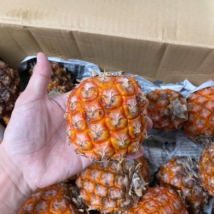 出荷されない小さなサイズ使用