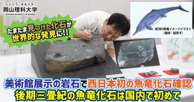【岡山理科大学】たまたま見つけた化石が世界的な発見に!!　美術館展示の岩石で西日本初の魚竜化石確認　後期三畳紀の魚竜化石は国内で初めて