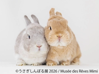 10周年“うさぎの祭典”が開幕！200点超の作品＆限定グッズが集結 「うさぎしんぼる展 2026」9/18(金)から東京で開催